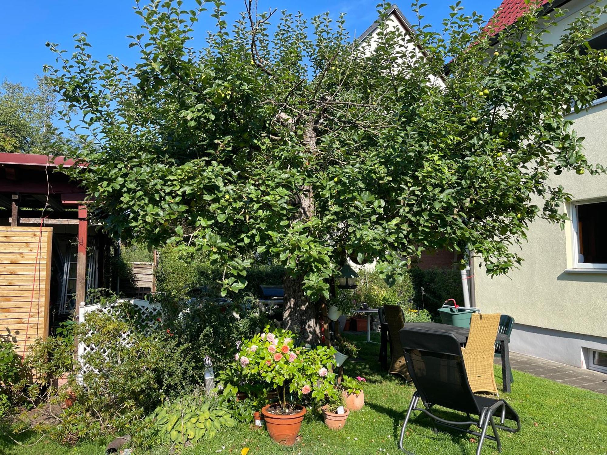 Claudias Apartment - 20 Minuten Bis Messe Nuernberg Eksteriør bilde